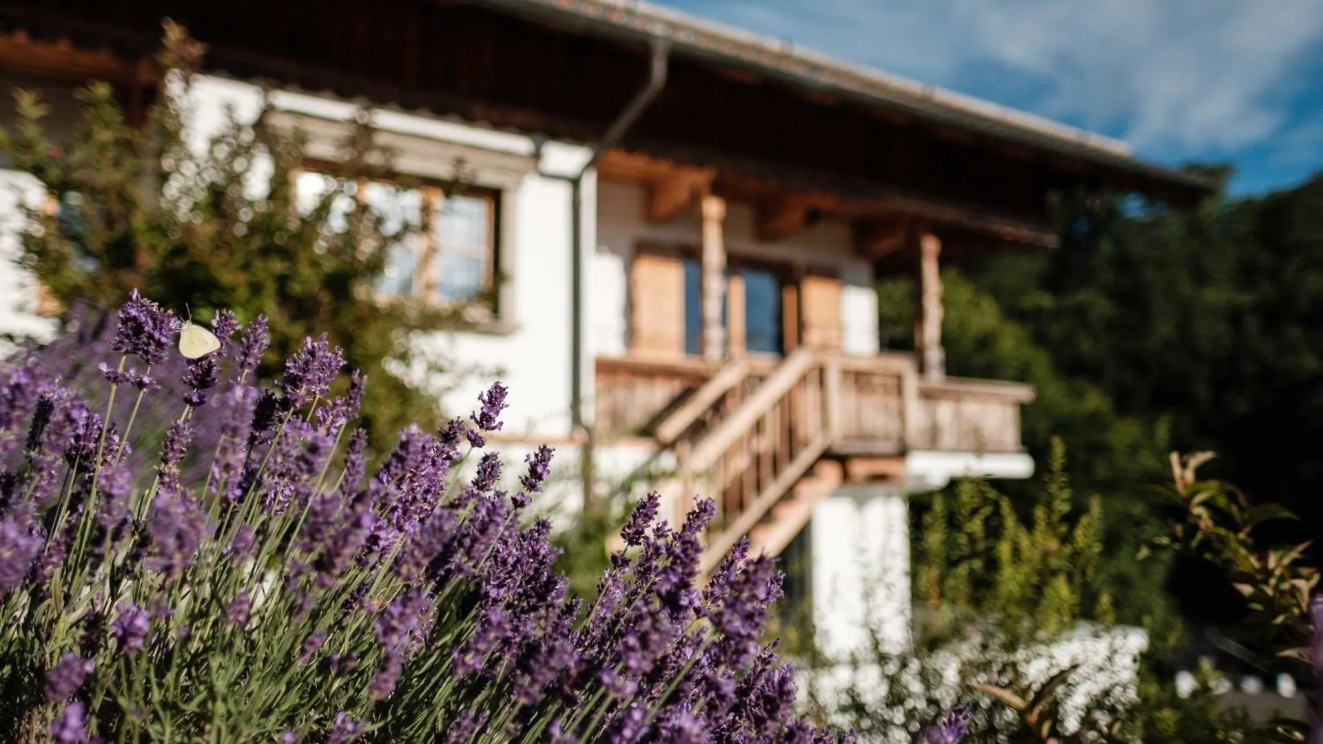 Apartment Design Suite Maximilian Tegernsee - Das Alpbach